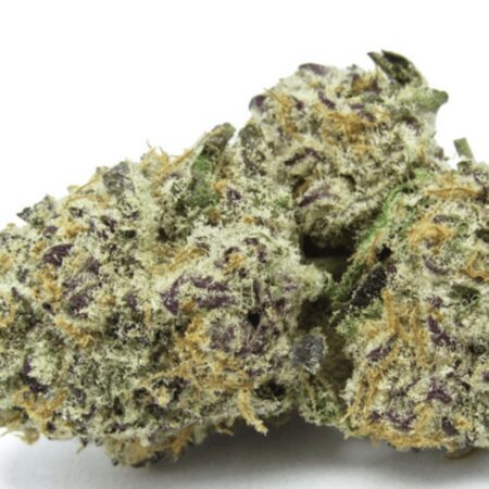 Purple Punch