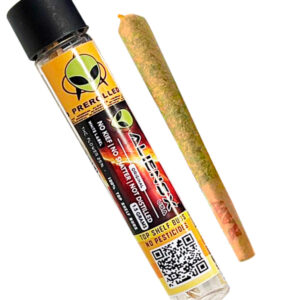 Alien Preroll-BOGO