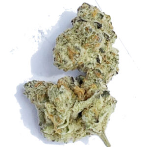 Creamsicle