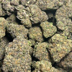 Rainbow Sherbet-Exotic