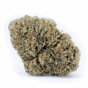 Alien Cookies-Exotic