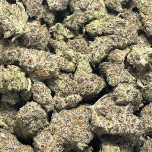 Blueberry YUM YUM-Exotic