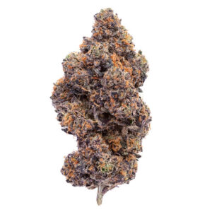 Super Sunset Sherbet-Exotic