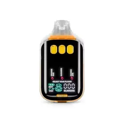 Boutiq - Orange Gas X Gushers X Mango Ape Disposable